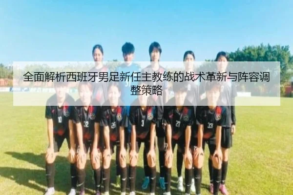 全面解析西班牙男足新任主教练的战术革新与阵容调整策略（RAY ESPORTS）